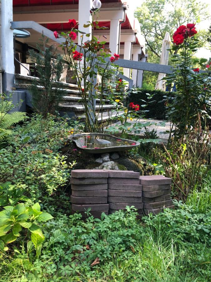 Reichels Parkhotel Бад-Виндсхайм Экстерьер фото